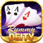 playing cards rummy tricks