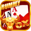 rummy bharat 51 bonus apk